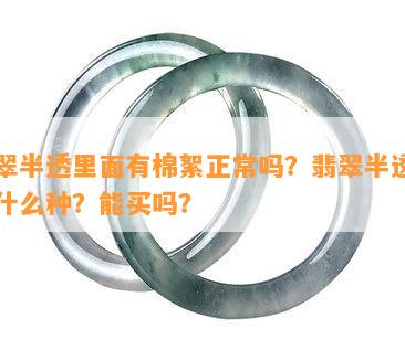 翡翠半透里面有棉絮正常吗？翡翠半透明是什么种？能买吗？