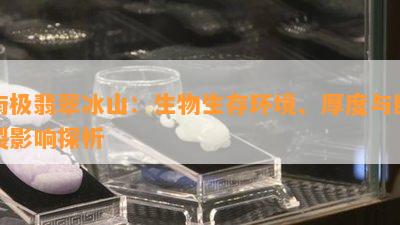 南极翡翠冰山：生物生存环境、厚度与断裂影响探析