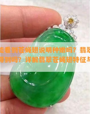 翡翠能看到苍蝇翅说明种嫩吗？翡翠成品能看得到吗？详解翡翠苍蝇翅特征与识别方法