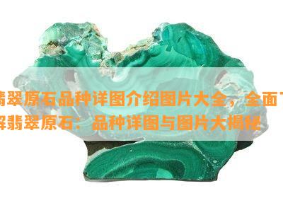 翡翠原石品种详图介绍图片大全，全面了解翡翠原石：品种详图与图片大揭秘