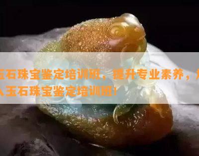 玉石珠宝鉴定培训班，提升专业素养，加入玉石珠宝鉴定培训班！