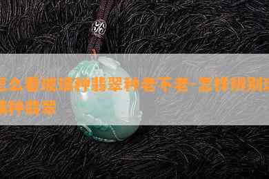 怎么看玻璃种翡翠种老不老-怎样辨别玻璃种翡翠