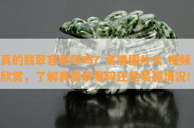 真的翡翠容易坏吗？高清图片大 视频 欣赏，了解真翡翠易碎还是易裂情况！