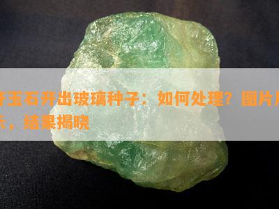 开玉石开出玻璃种子：如何处理？图片展示，结果揭晓