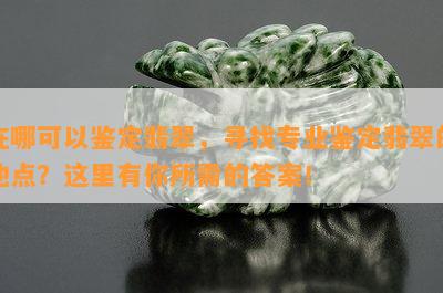 在哪可以鉴定翡翠，寻找专业鉴定翡翠的地点？这里有你所需的答案！