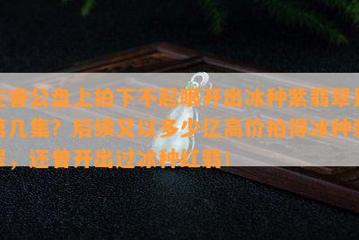 庄睿公盘上拍下不起眼开出冰种紫翡翠是第几集？后续又以多少亿高价拍得冰种翡翠，还曾开出过冰种红翡！