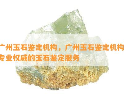 广州玉石鉴定机构，广州玉石鉴定机构：专业权威的玉石鉴定服务