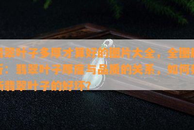 翡翠叶子多厚才算好的图片大全，全图解析：翡翠叶子厚度与品质的关系，如何判断翡翠叶子的好坏？