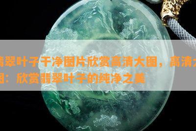 翡翠叶子干净图片欣赏高清大图，高清大图：欣赏翡翠叶子的纯净之美