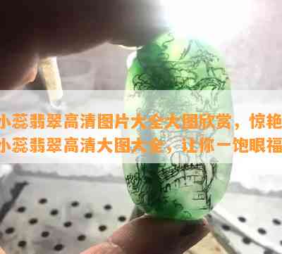 小蕊翡翠高清图片大全大图欣赏，惊艳！小蕊翡翠高清大图大全，让你一饱眼福！