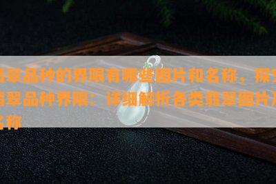 翡翠品种的界限有哪些图片和名称，探究翡翠品种界限：详细解析各类翡翠图片及名称