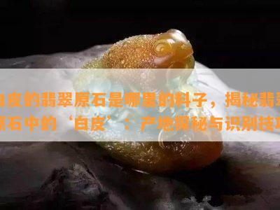 白皮的翡翠原石是哪里的料子，揭秘翡翠原石中的‘白皮’：产地探秘与识别技巧