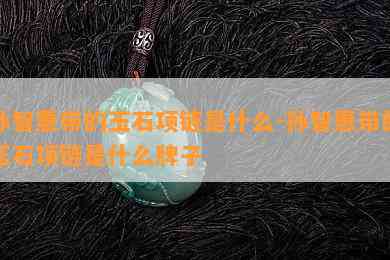 孙智惠带的玉石项链是什么-孙智惠带的玉石项链是什么牌子