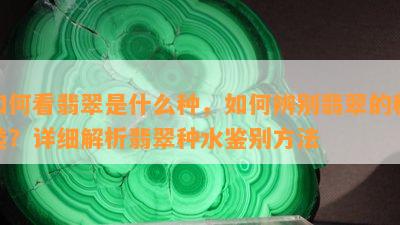 如何看翡翠是什么种，如何辨别翡翠的种类？详细解析翡翠种水鉴别方法