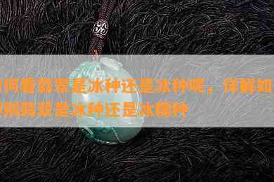 如何看翡翠是冰种还是冰种呢，详解如何辨别翡翠是冰种还是冰糯种