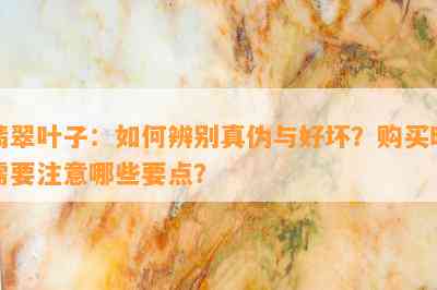 翡翠叶子：如何辨别真伪与好坏？购买时需要注意哪些要点？