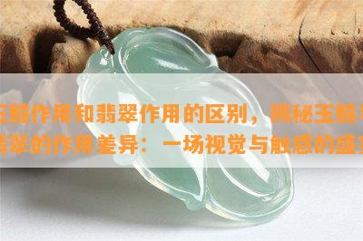 玉髓作用和翡翠作用的区别，揭秘玉髓与翡翠的作用差异：一场视觉与触感的盛宴