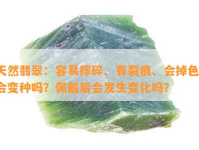 天然翡翠：容易摔碎、有裂痕、会掉色、会变种吗？佩戴后会发生变化吗？