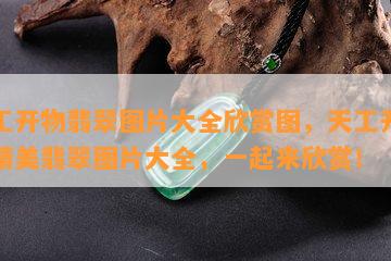 天工开物翡翠图片大全欣赏图，天工开物：精美翡翠图片大全，一起来欣赏！