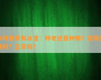 冰种翡翠有冰渣：种老还是种嫩？容易变种吗？正常吗？