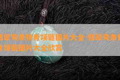 翡翠弯条锁骨项链图片大全-翡翠弯条锁骨项链图片大全欣赏