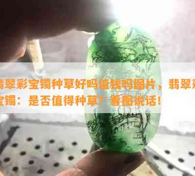 翡翠彩宝镯种草好吗值钱吗图片，翡翠彩宝镯：是否值得种草？看图说话！