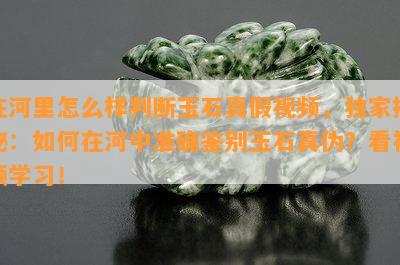 在河里怎么样判断玉石真假视频，独家揭秘：如何在河中准确鉴别玉石真伪？看视频学习！