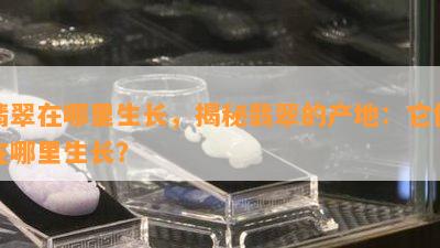 翡翠在哪里生长，揭秘翡翠的产地：它们在哪里生长？