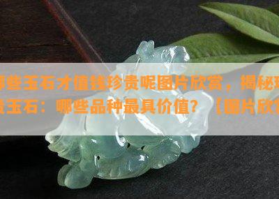 哪些玉石才值钱珍贵呢图片欣赏，揭秘珍贵玉石：哪些品种更具价值？【图片欣赏】