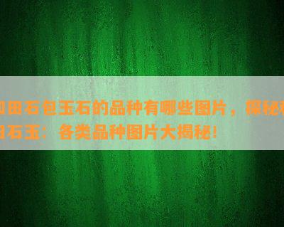 和田石包玉石的品种有哪些图片，探秘和田石玉：各类品种图片大揭秘！