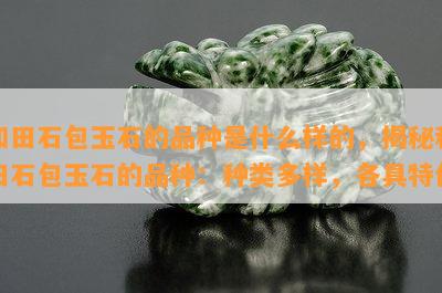 和田石包玉石的品种是什么样的，揭秘和田石包玉石的品种：种类多样，各具特色