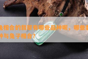 和兔相合的翡翠有哪些品种呢，哪些翡翠品种与兔子相合？