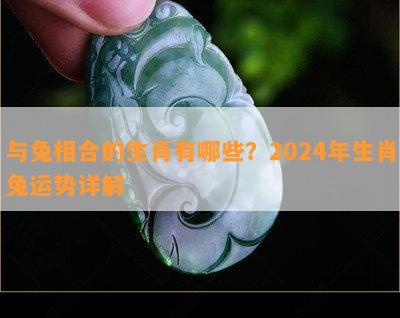 与兔相合的生肖有哪些？2024年生肖兔运势详解