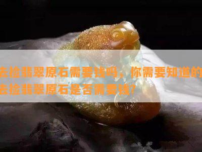 去捡翡翠原石需要钱吗，你需要知道的：去捡翡翠原石是否需要钱？