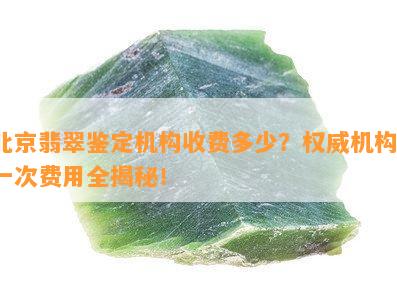 北京翡翠鉴定机构收费多少？权威机构、一次费用全揭秘！