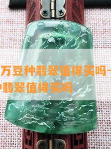 100多万豆种翡翠值得买吗-100多万豆种翡翠值得买吗