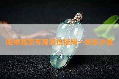 阳绿翡翠专用高档挂绳一条多少钱