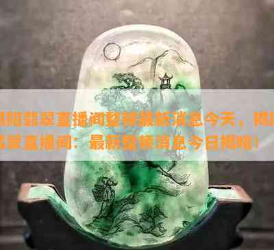 揭阳翡翠直播间整顿最新消息今天，揭阳翡翠直播间：最新整顿消息今日揭晓！