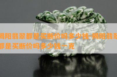 揭阳翡翠都是买断价吗多少钱-揭阳翡翠都是买断价吗多少钱一克