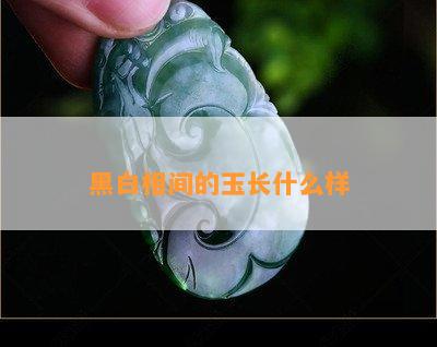 黑白相间的玉长什么样