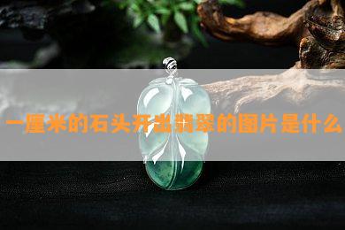 一厘米的石头开出翡翠的图片是什么