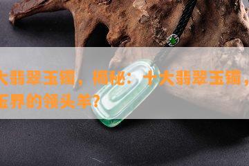 十大翡翠玉镯，揭秘：十大翡翠玉镯，谁是玉界的领头羊？