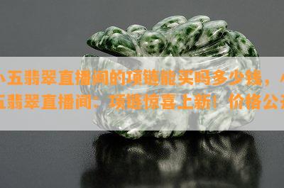 小五翡翠直播间的项链能买吗多少钱，小五翡翠直播间：项链惊喜上新！价格公开！