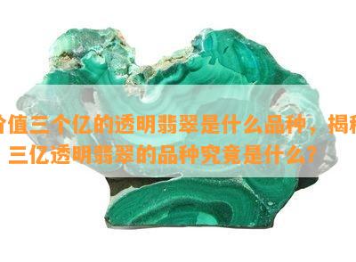 价值三个亿的透明翡翠是什么品种，揭秘：三亿透明翡翠的品种究竟是什么？