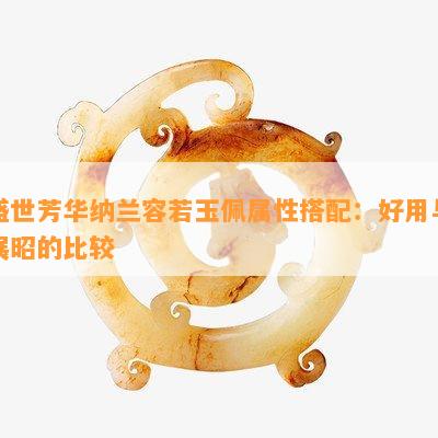 盛世芳华纳兰容若玉佩属性搭配：好用与展昭的比较