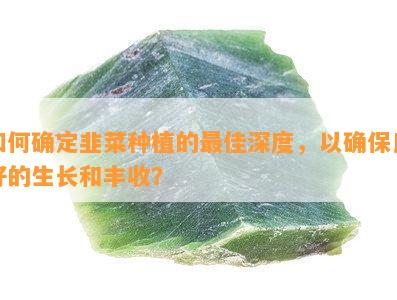 如何确定韭菜种植的更佳深度，以确保良好的生长和丰收？