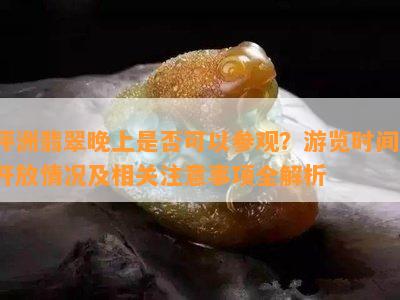 坪洲翡翠晚上是否可以参观？游览时间、开放情况及相关注意事项全解析