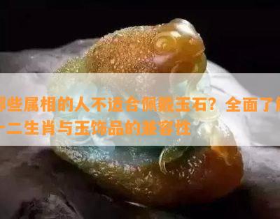 哪些属相的人不适合佩戴玉石？全面了解十二生肖与玉饰品的兼容性