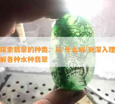 探索翡翠的种类：从'什么叫'到深入理解各种水种翡翠