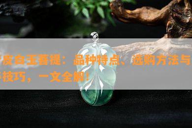 青皮白玉菩提：品种特点、选购方法与保养技巧，一文全解！